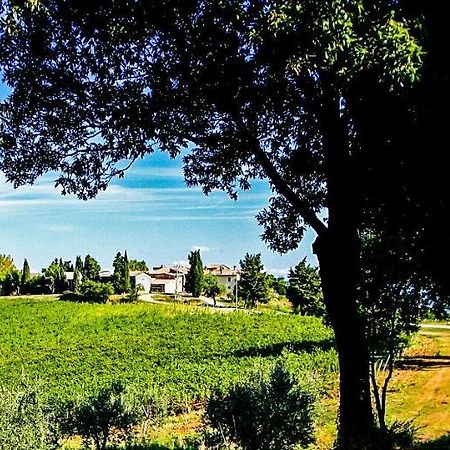 Fattoria La Torre Διαμέρισμα Σαν Τζιμινιάνο Εξωτερικό φωτογραφία